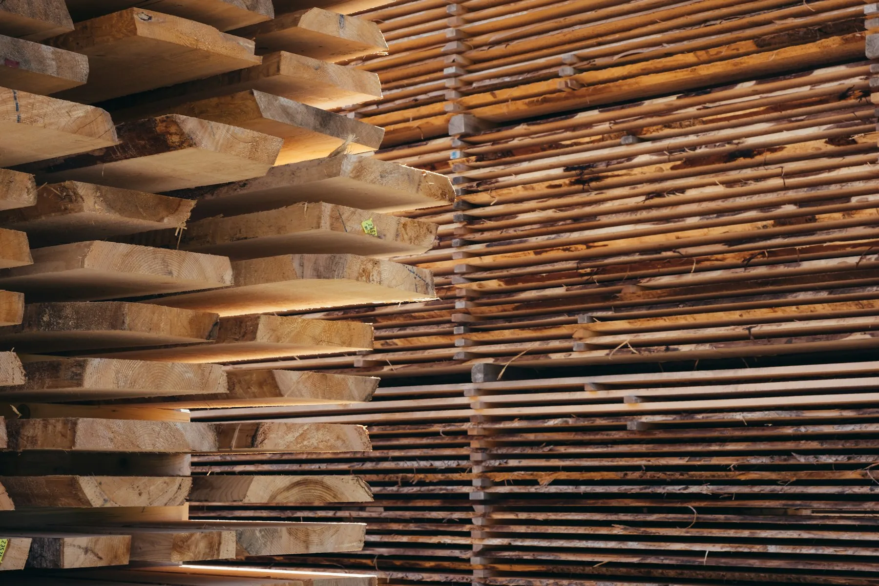 A stacked pile of sawn lumber